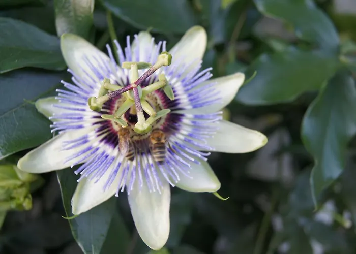 Lägenhet Montana Nauders